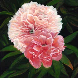 Magdalen College Peonies, 2023 (huile sur toile)