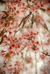 Orientalis