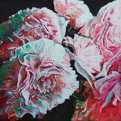 Pivoines