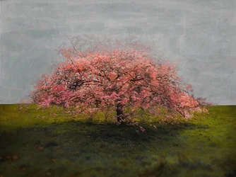 Beauté solitaire, 2019