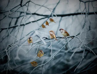Teeming with Life