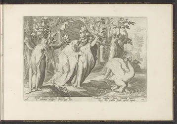 Les sœurs de Phaéthon se transforment en peupliers et son ami en cygne (Ovidius