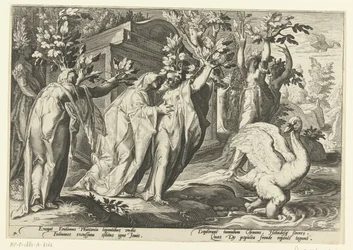 Les sœurs de Phaéthon se transforment en peupliers et son ami en cygne (Ovidius
