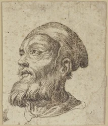 Tête d