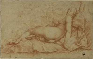 Vénus allongée