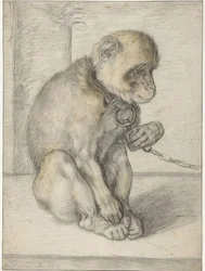 Un singe assis enchaîné