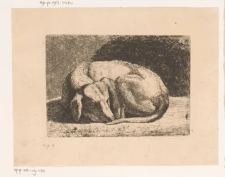 Chien endormi