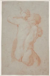 Triton soufflant dans une conque vu de dos
