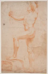 Étude de modèle masculin