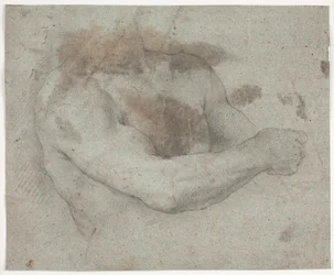 Torso de modèle masculin
