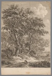 Paysage près de Zuidlaren