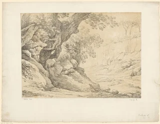Rochers couverts de végétation