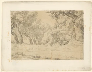 Allée avec rochers couverts de végétation