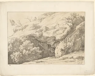 Rochers avec des buissons