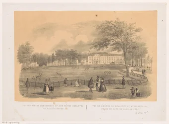 Vue sur le parc aux cerfs à La Haye