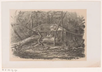Arbre renversé à Buitenlust, après la tempête du 28 mai 1860