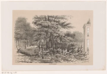 Arbre renversé à Voorhout, après la tempête du 28 mai 1860