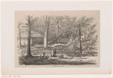 Arbre renversé près de la société, après la tempête du 28 mai 1860