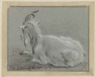 Chèvre couchée