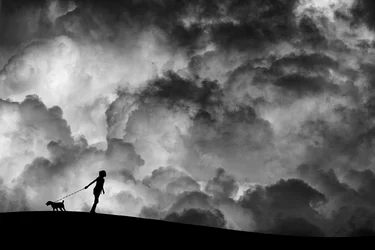 Promenade canine sous un ciel orageux