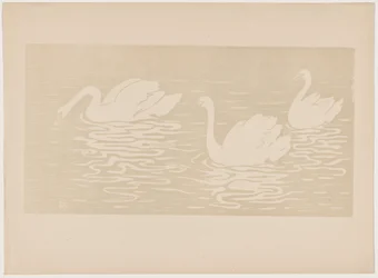 Les cygnes