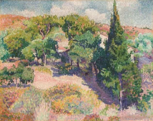 Cyprès