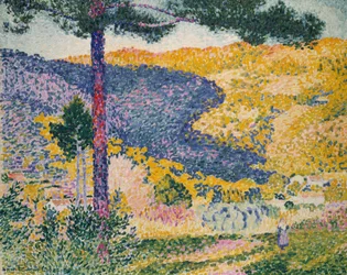 Vallée avec sapins (Ombre sur la montagne)