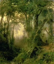 Un chasseur dans la jungle cubaine, lever du soleil