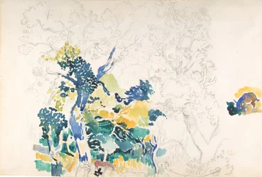 Paysage
