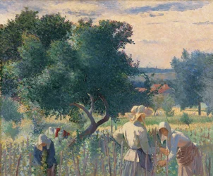 Femmes attachant les vignes