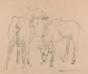 Deux chèvres