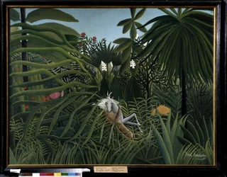 Cheval attaqué par un jaguar