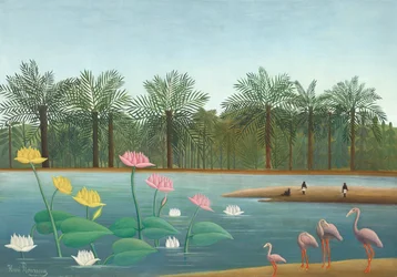 Flamants roses