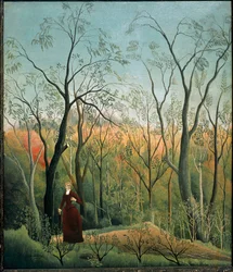 Promenade en forêt