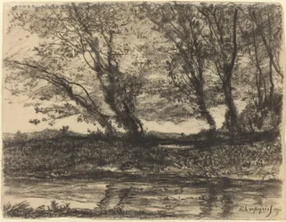 Paysage