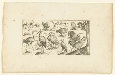 Quinze oiseaux