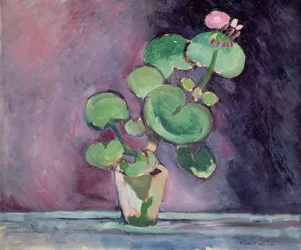 Géranium en pot (huile sur toile)