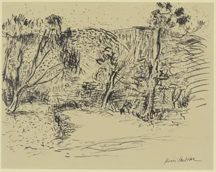 Chemin entre les arbres