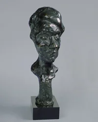 La fille de l