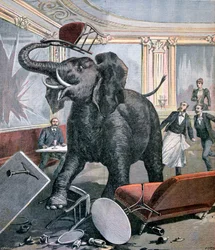 Un éléphant au Café Pré-Catalan, Toulouse, France, 1891