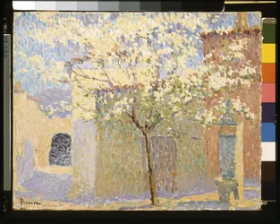 Arbre en fleurs