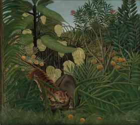 Combat entre un tigre et un buffle, 1908