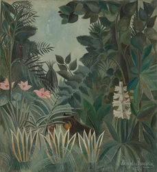La jungle équatoriale