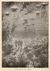 Une promenade sous les eaux, de 20 000 lieues sous les mers