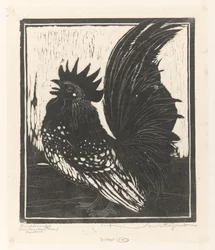 Petit coq
