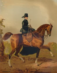Un cheval de dame - La propriété du défunt comte de Pembroke, vers 1840s, vers 1879