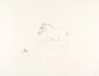 Le petit poney de Calmèse
