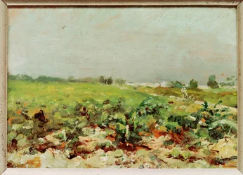 Vue sur les vignobles