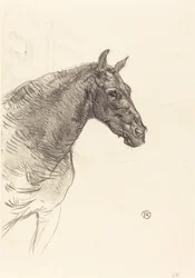 Le vieux cheval