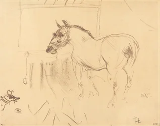 Le petit poney de Calmèse